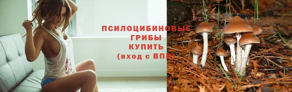 марки lsd Алексеевка