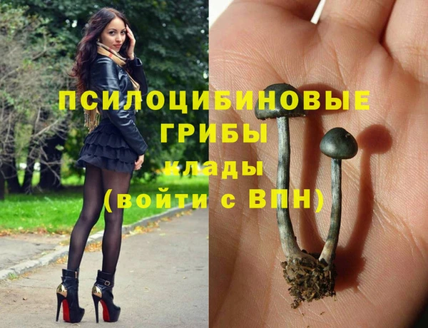 2c-b Алзамай